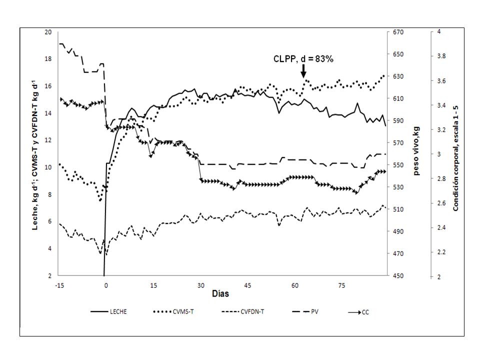 Durante este período la CC alcanza la meseta evidenciando un equilibrio en balance energético y permite la aparición de CL a los 70 días en el 83% de las vacas.