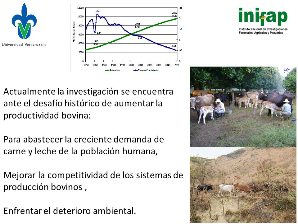 Actualmente la investigación se encuentra ante el desafío histórico de aumentar la productividad bovina: