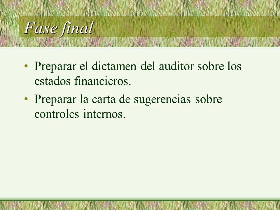 Fase final Preparar el dictamen del auditor sobre los estados financieros.