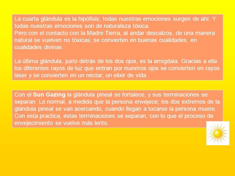 La cuarta glándula es la hipófisis; todas nuestras emociones surgen de ahí. Y todas nuestras emociones son de naturaleza tóxica.