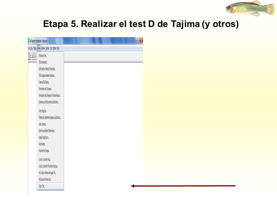 Etapa 5. Realizar el test D de Tajima (y otros)