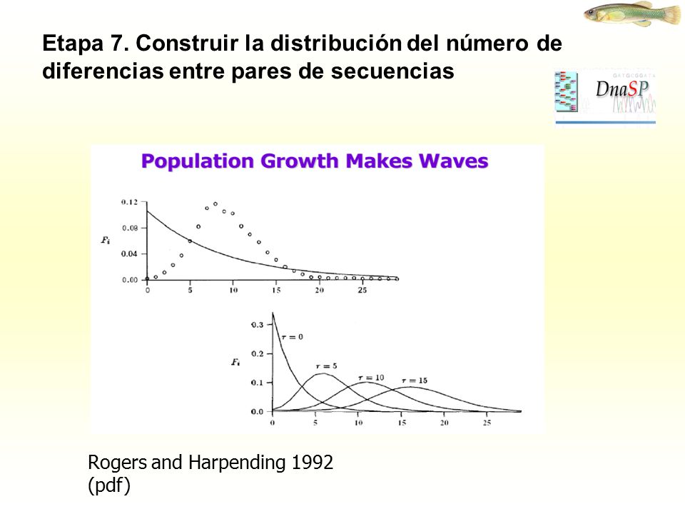 Etapa 7. Construir la distribución del número de diferencias entre pares de secuencias