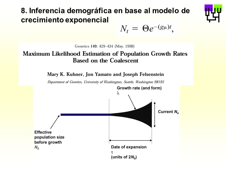 8. Inferencia demográfica en base al modelo de crecimiento exponencial