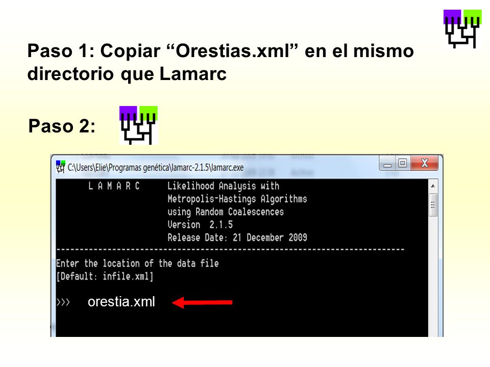 Paso 1: Copiar Orestias.xml en el mismo directorio que Lamarc