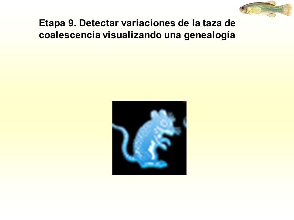 Etapa 9. Detectar variaciones de la taza de coalescencia visualizando una genealogía