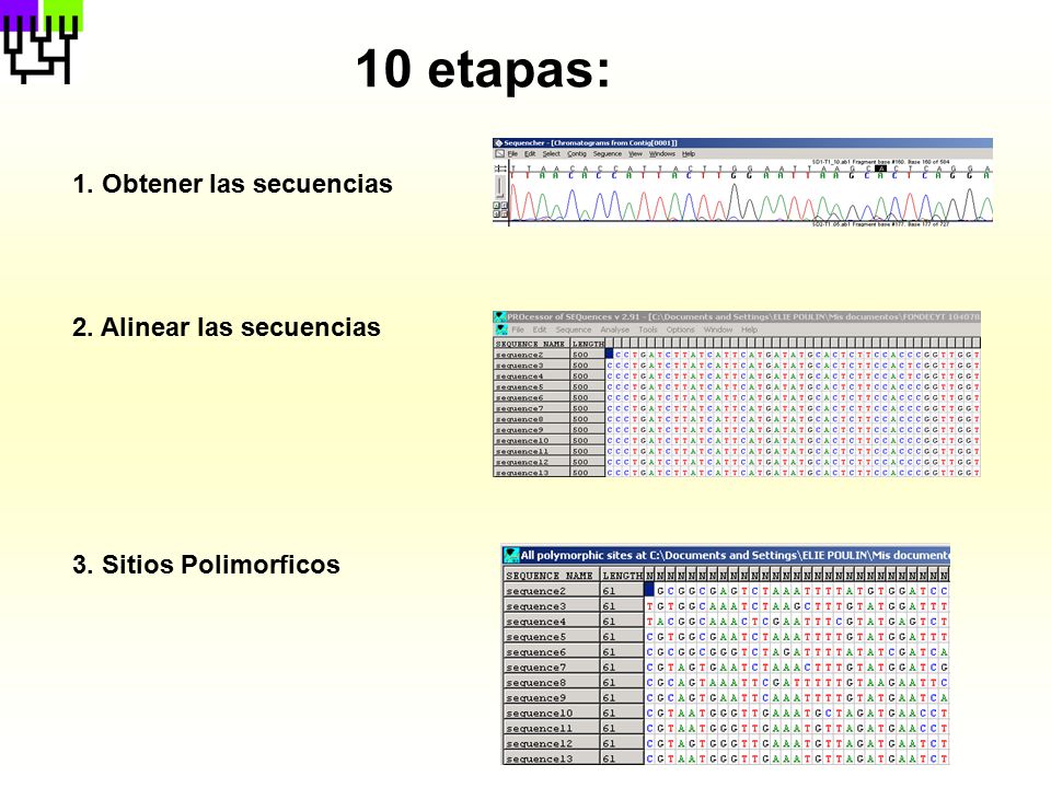 10 etapas: 1. Obtener las secuencias 2. Alinear las secuencias