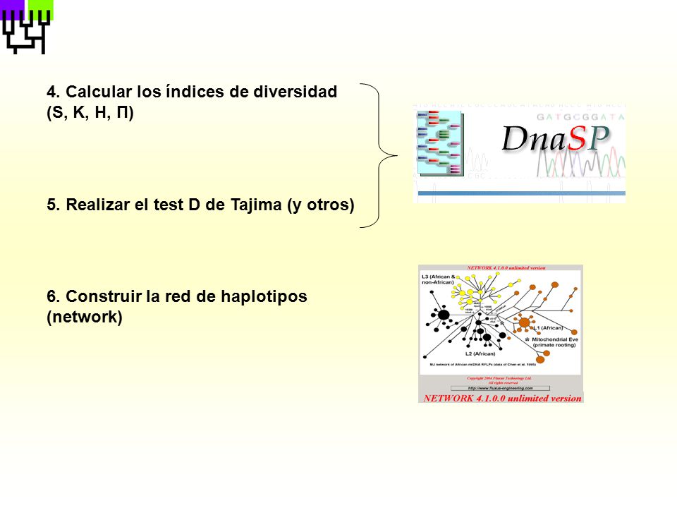 4. Calcular los índices de diversidad (S, K, H, Π)