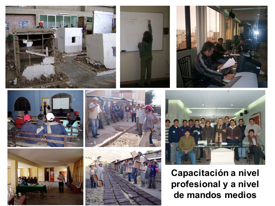 Capacitación a nivel profesional y a nivel de mandos medios