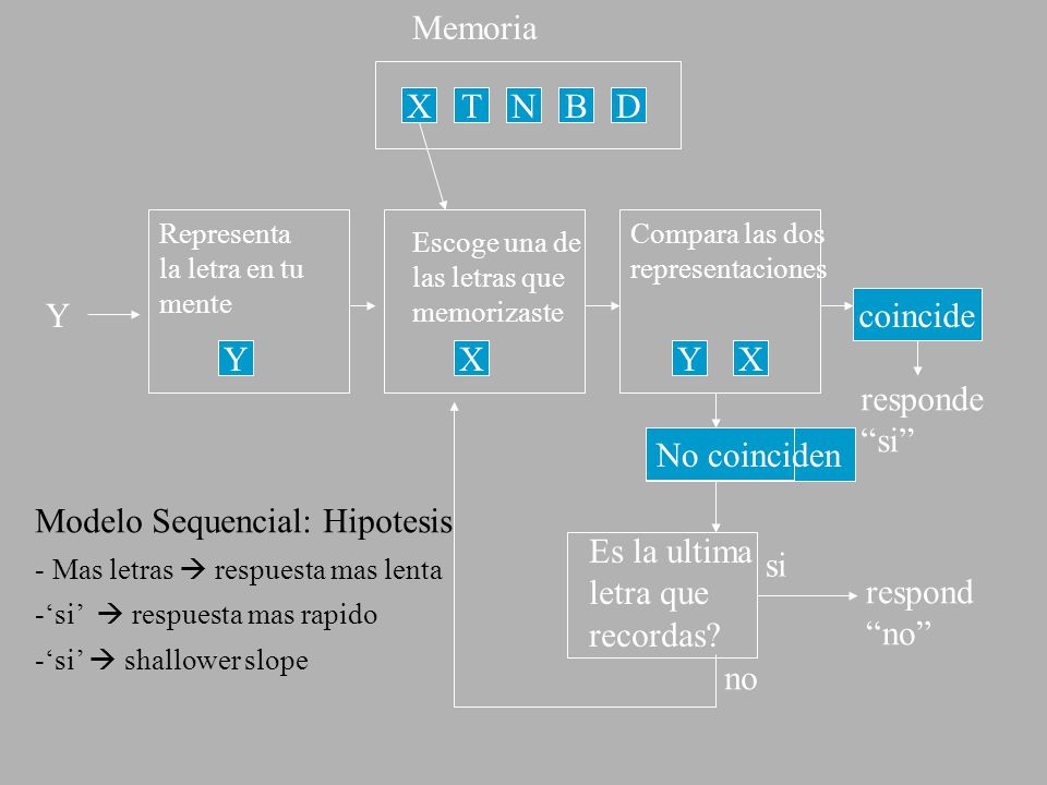 Modelo Sequencial: Hipotesis Es la ultima letra que recordas si
