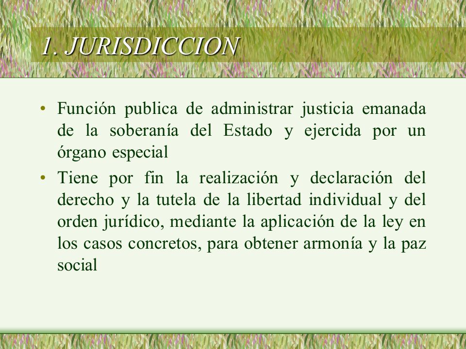 1. JURISDICCION Función publica de administrar justicia emanada de la soberanía del Estado y ejercida por un órgano especial.