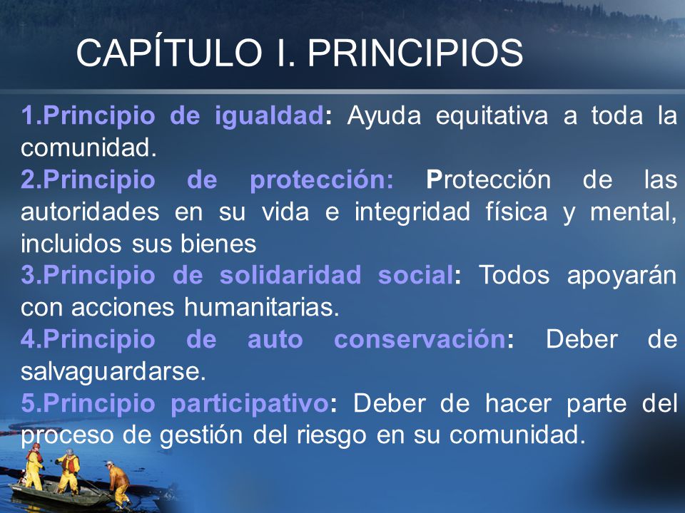 CAPÍTULO I. PRINCIPIOS 1.Principio de igualdad: Ayuda equitativa a toda la comunidad.