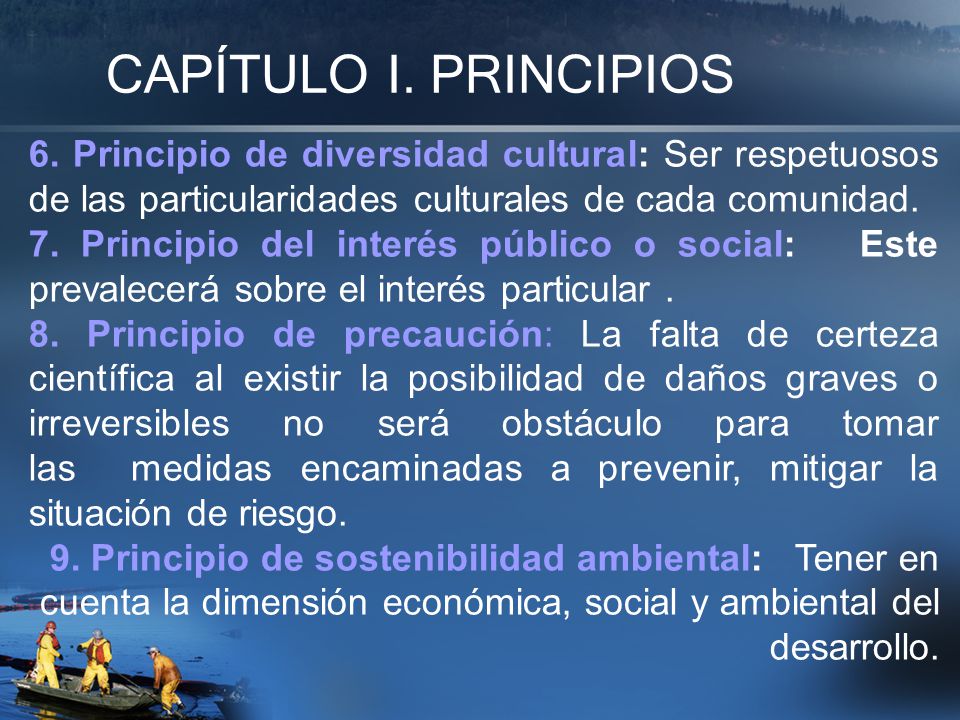 CAPÍTULO I. PRINCIPIOS 6. Principio de diversidad cultural: Ser respetuosos de las particularidades culturales de cada comunidad.