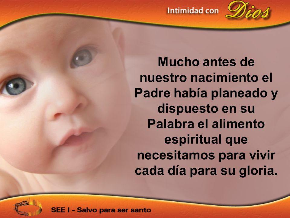 Mucho antes de nuestro nacimiento el Padre había planeado y dispuesto en su Palabra el alimento espiritual que necesitamos para vivir cada día para su gloria.
