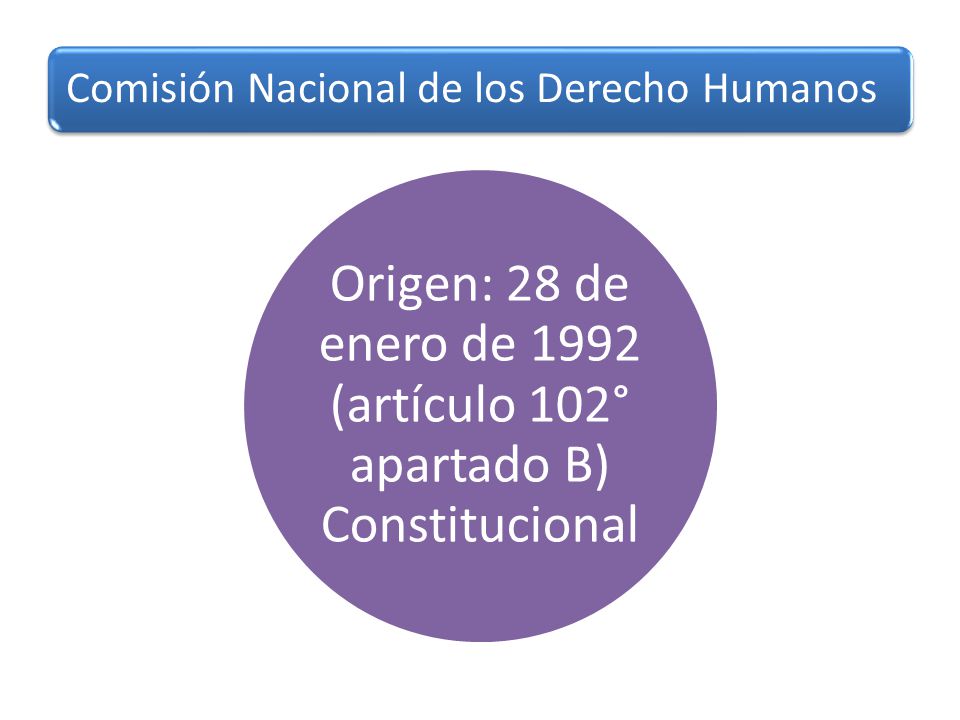 Origen: 28 de enero de 1992 (artículo 102° apartado B) Constitucional