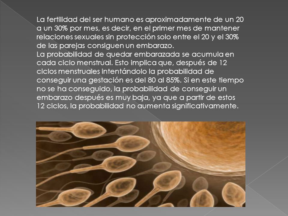 La fertilidad del ser humano es aproximadamente de un 20 a un 30% por mes, es decir, en el primer mes de mantener relaciones sexuales sin protección solo entre el 20 y el 30% de las parejas consiguen un embarazo.