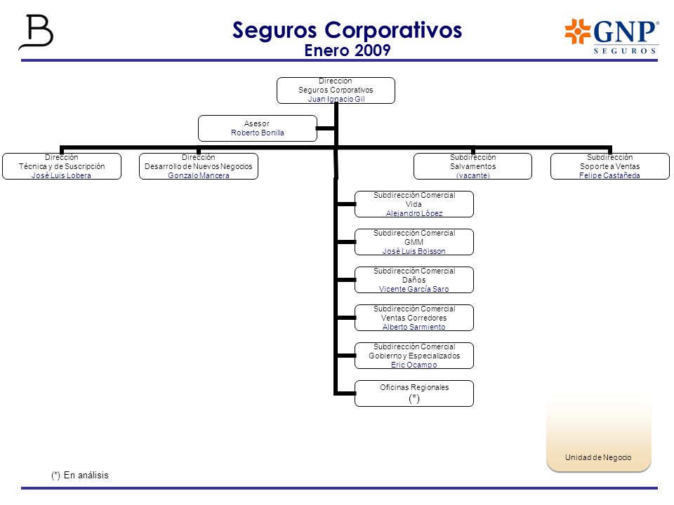 Seguros Corporativos Enero 2009 Unidad de Negocio (*) En análisis