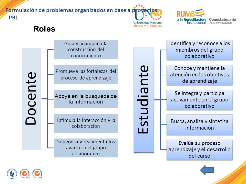 Roles Formulación de problemas organizados en base a proyectos - PBL