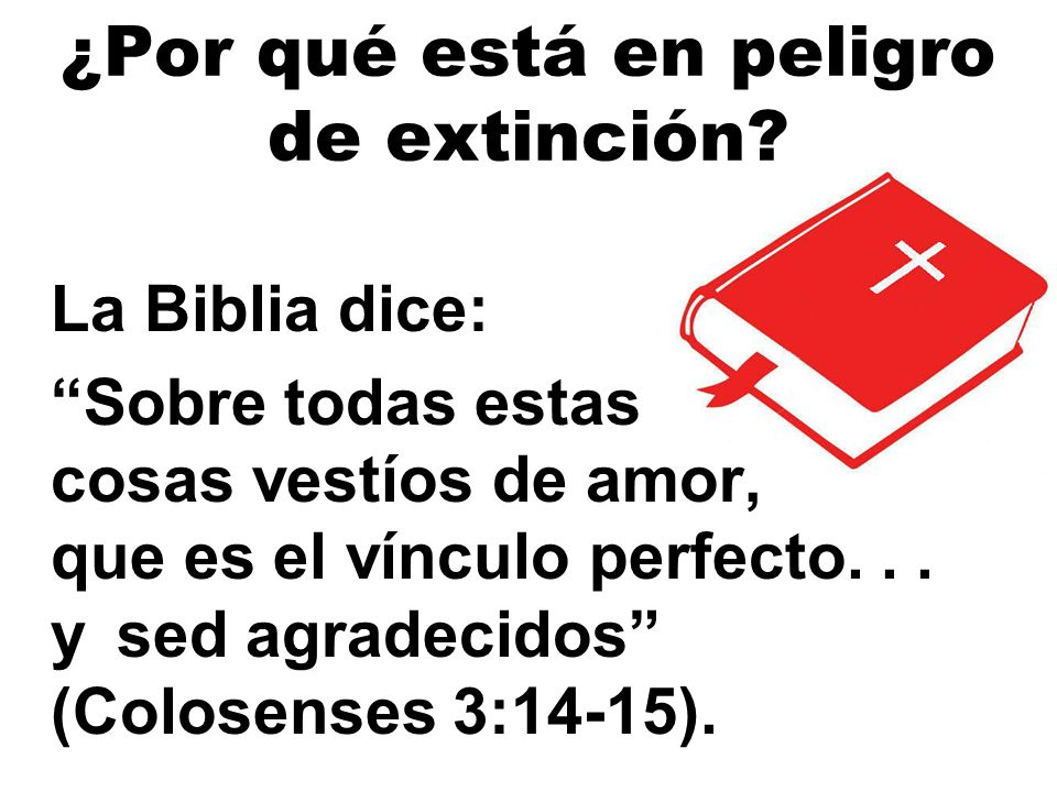 ¿Por qué está en peligro de extinción