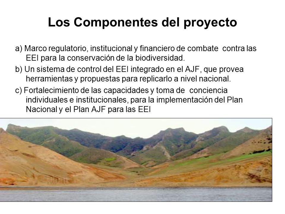 Los Componentes del proyecto