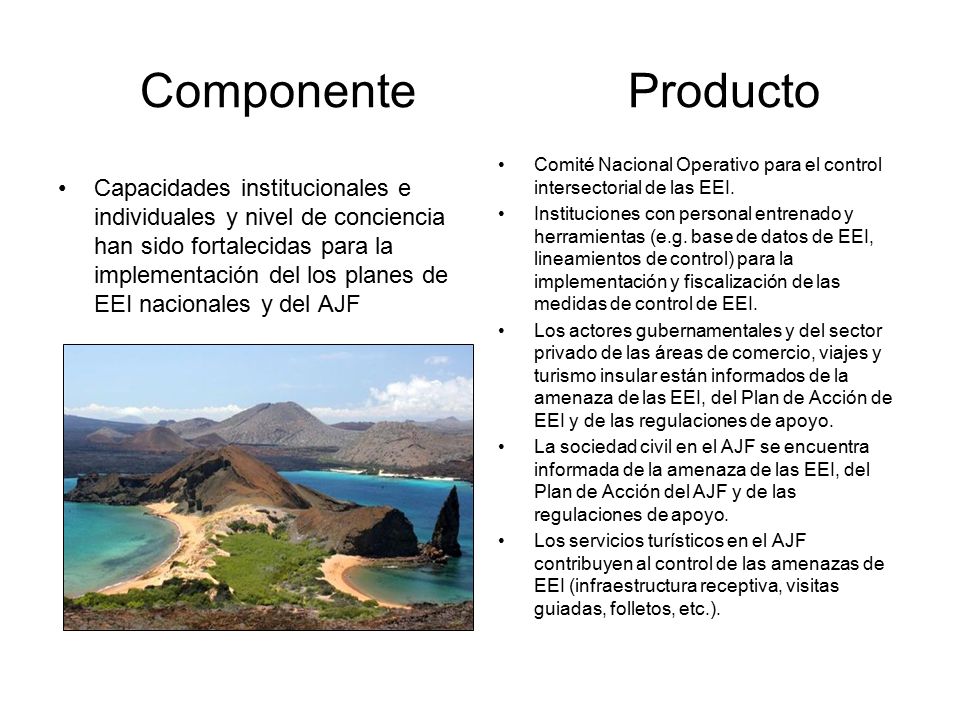 Componente Producto Comité Nacional Operativo para el control intersectorial de las EEI.