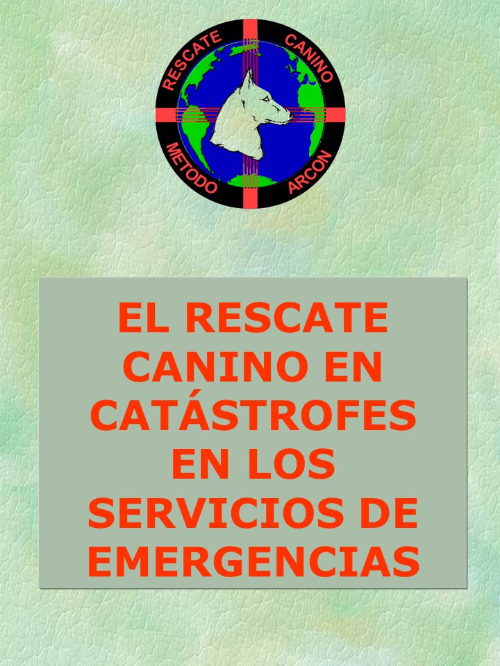 EL RESCATE CANINO EN CATÁSTROFES EN LOS SERVICIOS DE EMERGENCIAS