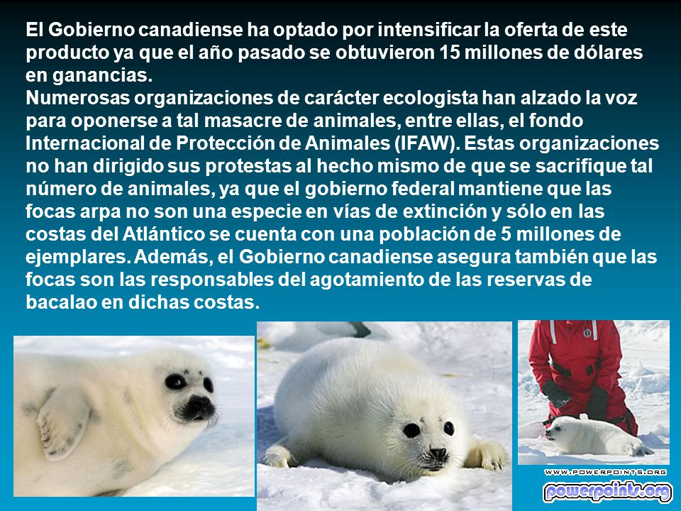 El Gobierno canadiense ha optado por intensificar la oferta de este producto ya que el año pasado se obtuvieron 15 millones de dólares en ganancias.
