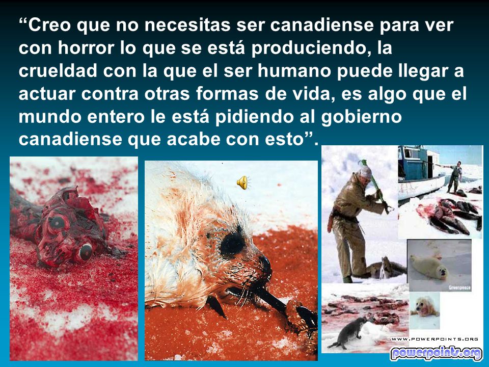 Creo que no necesitas ser canadiense para ver con horror lo que se está produciendo, la crueldad con la que el ser humano puede llegar a actuar contra otras formas de vida, es algo que el mundo entero le está pidiendo al gobierno canadiense que acabe con esto .