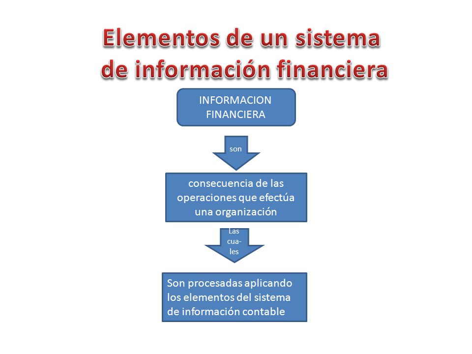 Elementos de un sistema de información financiera