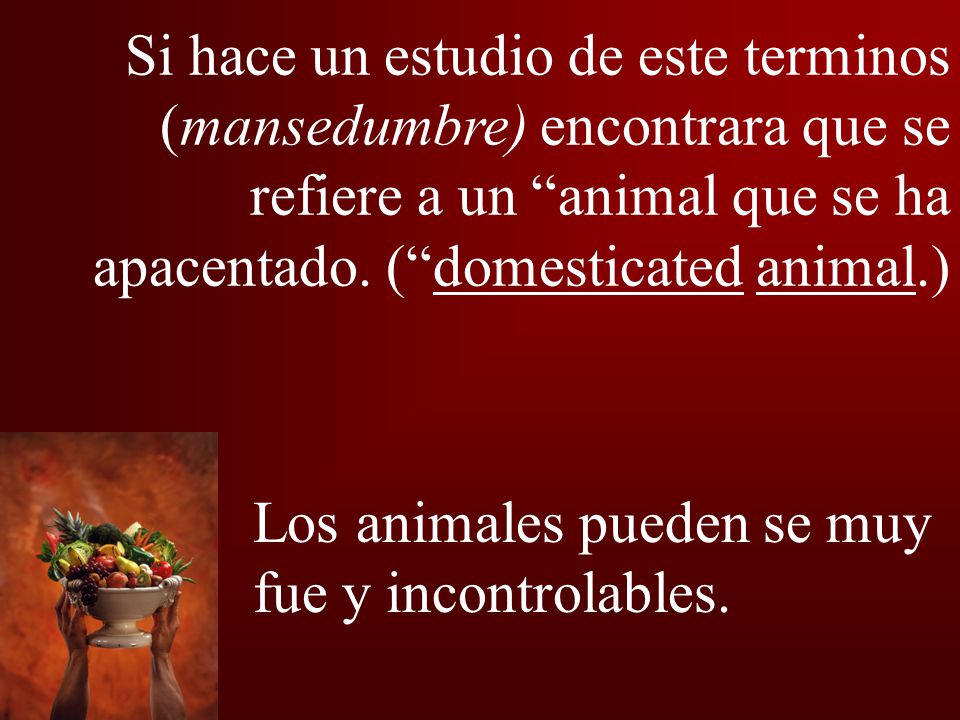 Si hace un estudio de este terminos (mansedumbre) encontrara que se refiere a un animal que se ha apacentado. ( domesticated animal.)