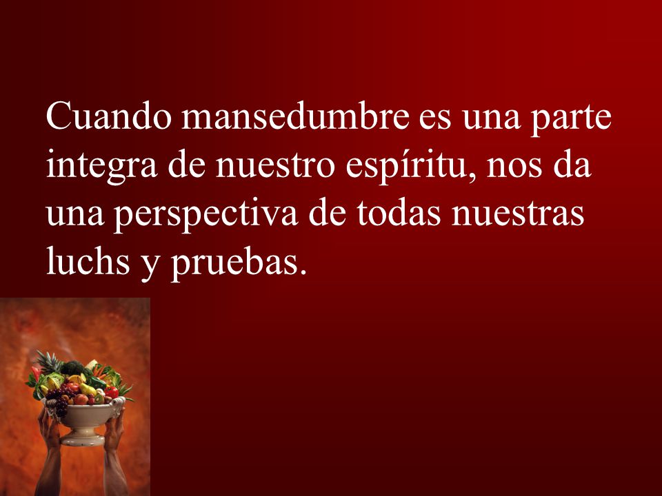 Cuando mansedumbre es una parte integra de nuestro espíritu, nos da una perspectiva de todas nuestras luchs y pruebas.