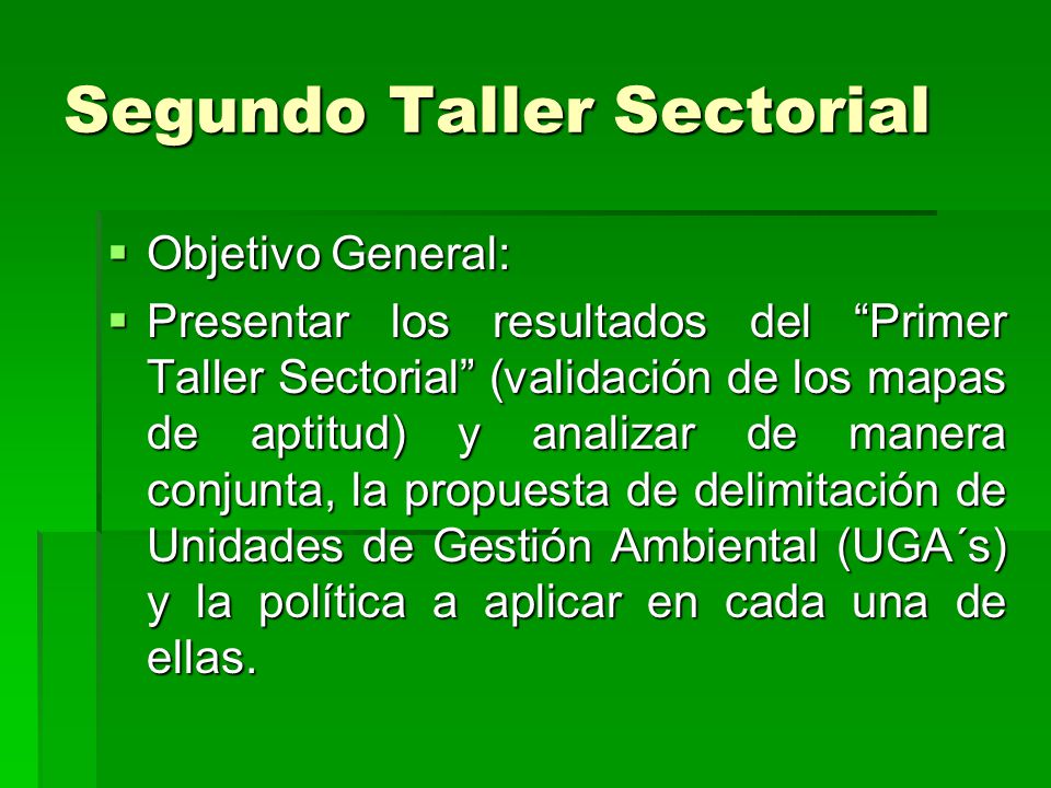 Segundo Taller Sectorial