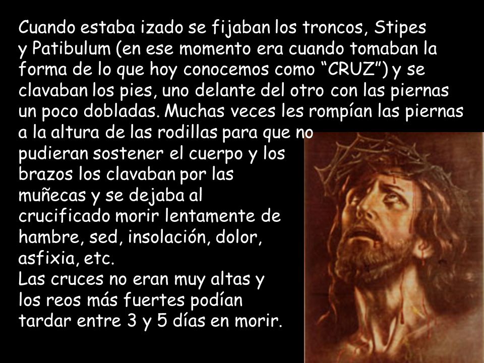 Cuando estaba izado se fijaban los troncos, Stipes