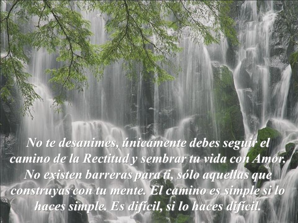 No te desanimes, únicamente debes seguir el camino de la Rectitud y sembrar tu vida con Amor.