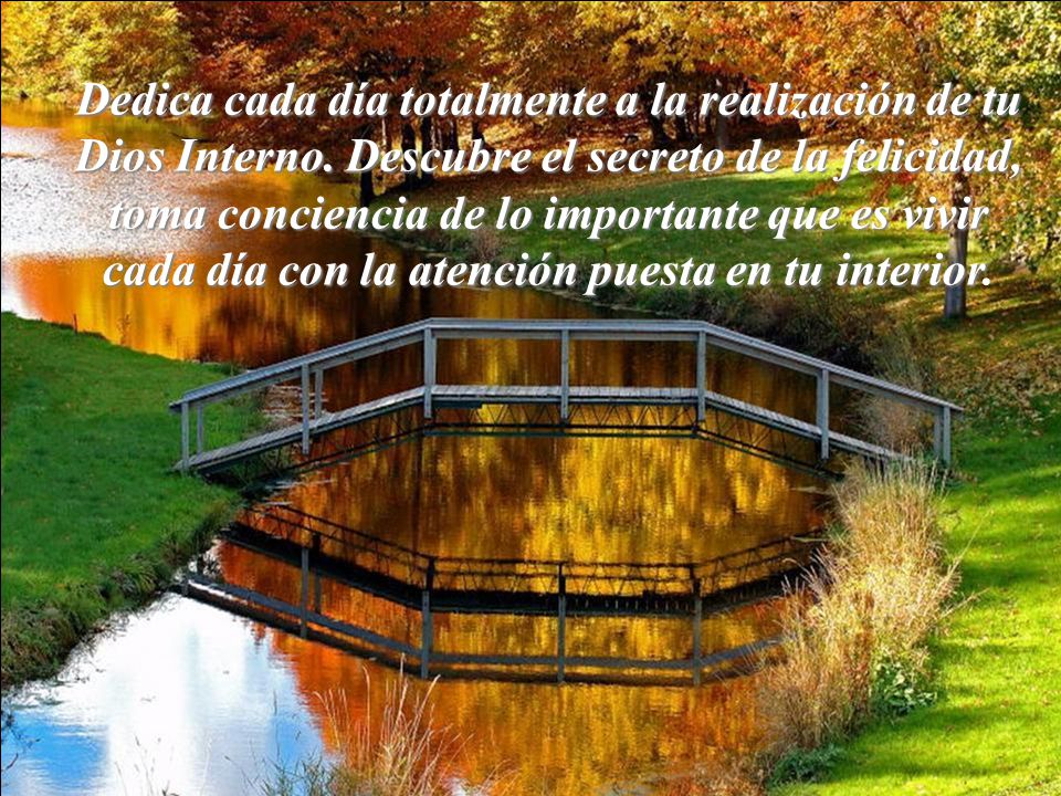 Dedica cada día totalmente a la realización de tu Dios Interno