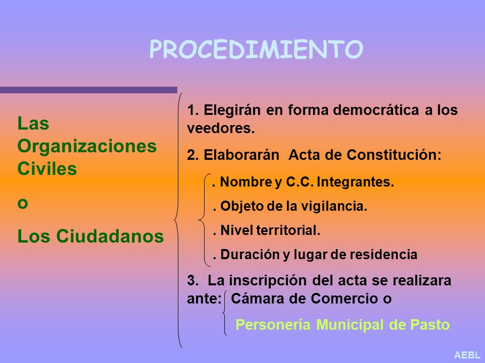 PROCEDIMIENTO Las Organizaciones Civiles o Los Ciudadanos
