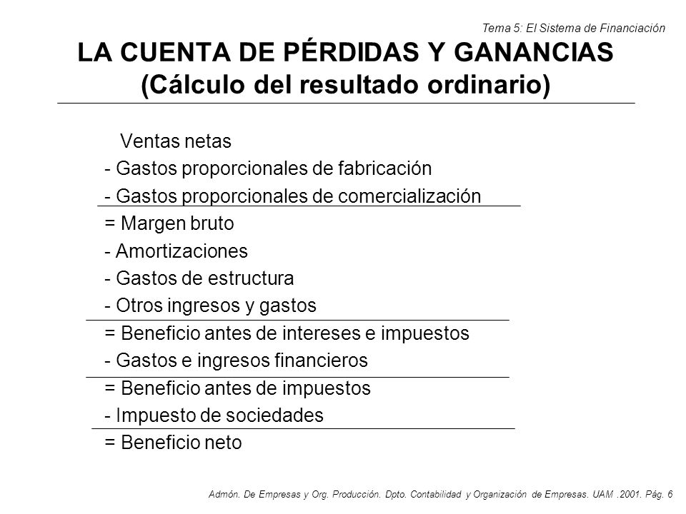 LA CUENTA DE PÉRDIDAS Y GANANCIAS (Cálculo del resultado ordinario)