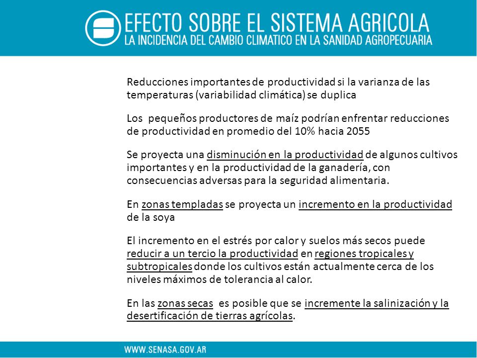 Reducciones importantes de productividad si la varianza de las temperaturas (variabilidad climática) se duplica