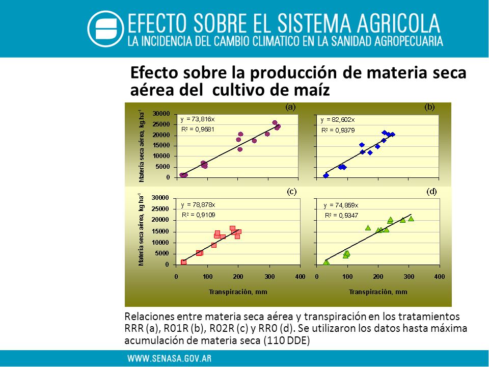 Efecto sobre la producción de materia seca aérea del cultivo de maíz