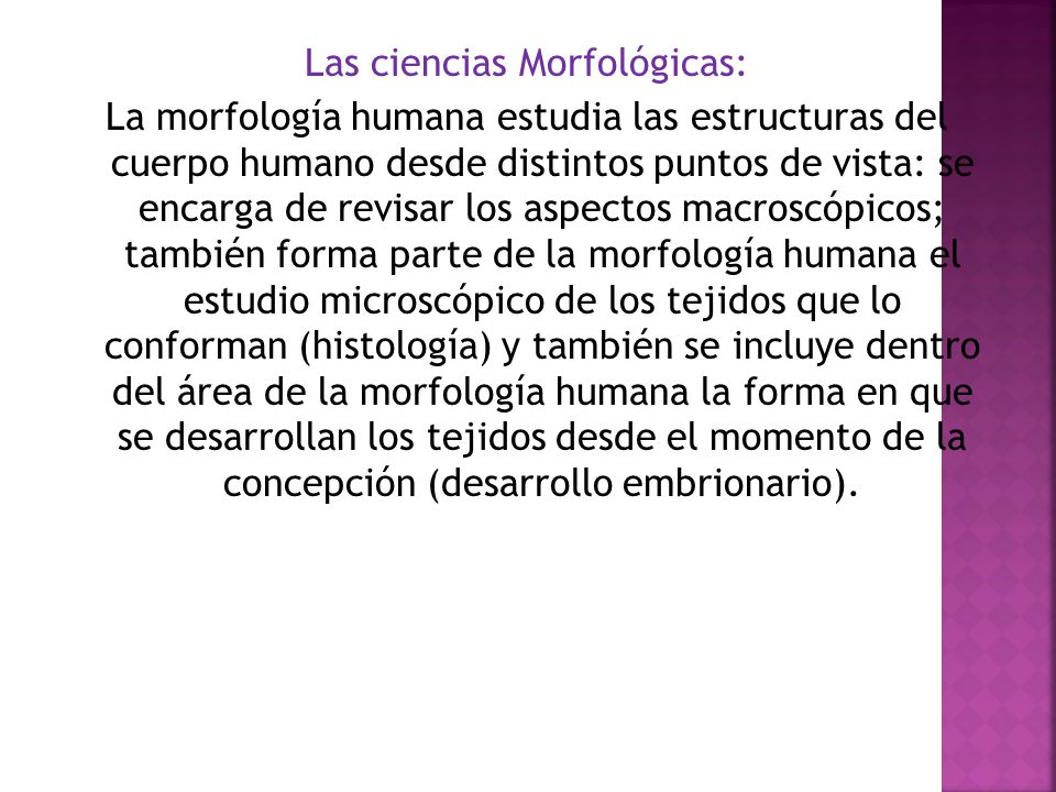 Las ciencias Morfológicas: La morfología humana estudia las estructuras del cuerpo humano desde distintos puntos de vista: se encarga de revisar los aspectos macroscópicos; también forma parte de la morfología humana el estudio microscópico de los tejidos que lo conforman (histología) y también se incluye dentro del área de la morfología humana la forma en que se desarrollan los tejidos desde el momento de la concepción (desarrollo embrionario).