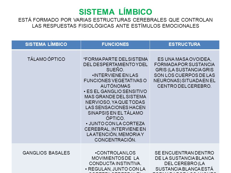SISTEMA LÍMBICO ESTÁ FORMADO POR VARIAS ESTRUCTURAS CEREBRALES QUE CONTROLAN LAS RESPUESTAS FISIOLÓGICAS ANTE ESTÍMULOS EMOCIONALES