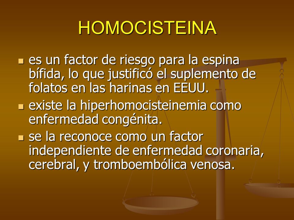 HOMOCISTEINA es un factor de riesgo para la espina bífida, lo que justificó el suplemento de folatos en las harinas en EEUU.