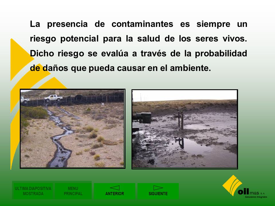 La presencia de contaminantes es siempre un riesgo potencial para la salud de los seres vivos. Dicho riesgo se evalúa a través de la probabilidad de daños que pueda causar en el ambiente.
