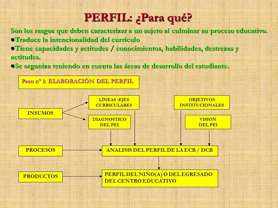 OBJETIVOS INSTITUCIONALES ANALISIS DEL PERFIL DE LA ECB / DCB