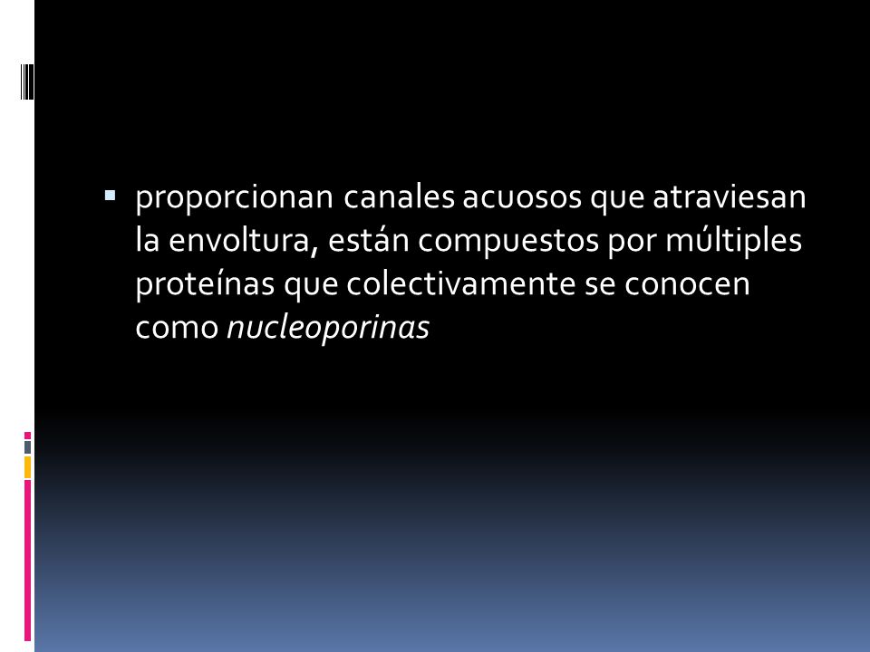 proporcionan canales acuosos que atraviesan la envoltura, están compuestos por múltiples proteínas que colectivamente se conocen como nucleoporinas