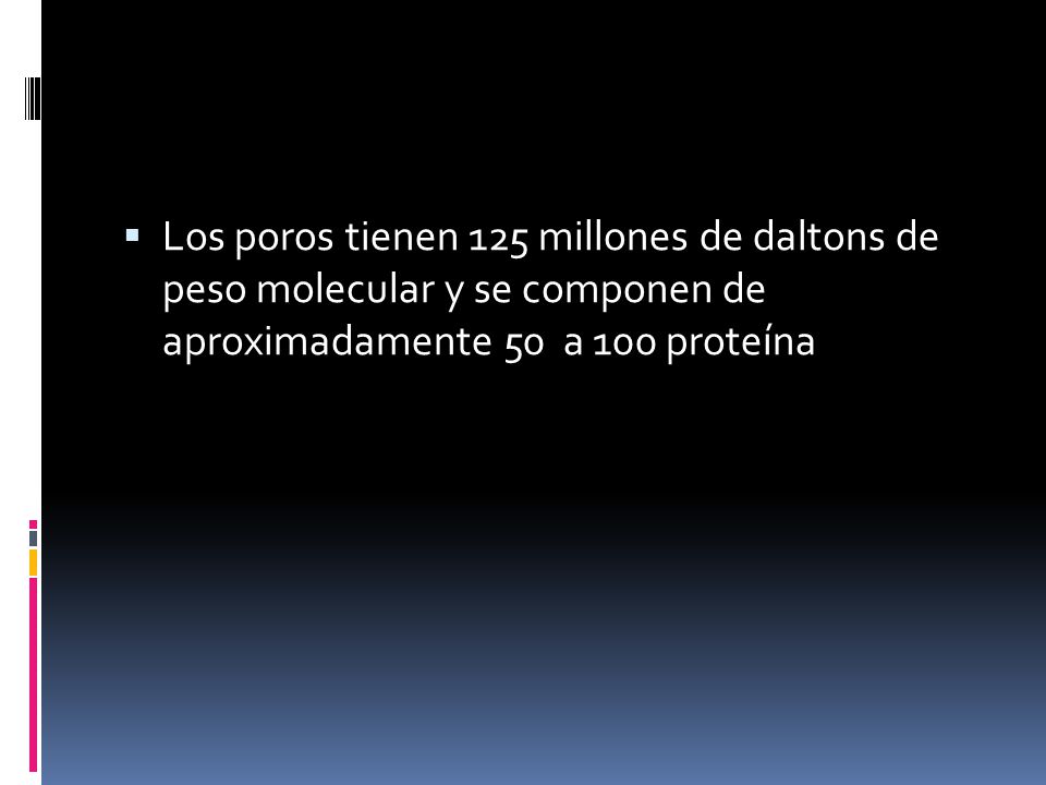 Los poros tienen 125 millones de daltons de peso molecular y se componen de aproximadamente 50 a 100 proteína