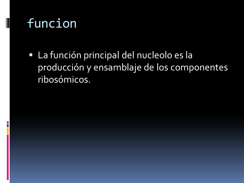 funcion La función principal del nucleolo es la producción y ensamblaje de los componentes ribosómicos.
