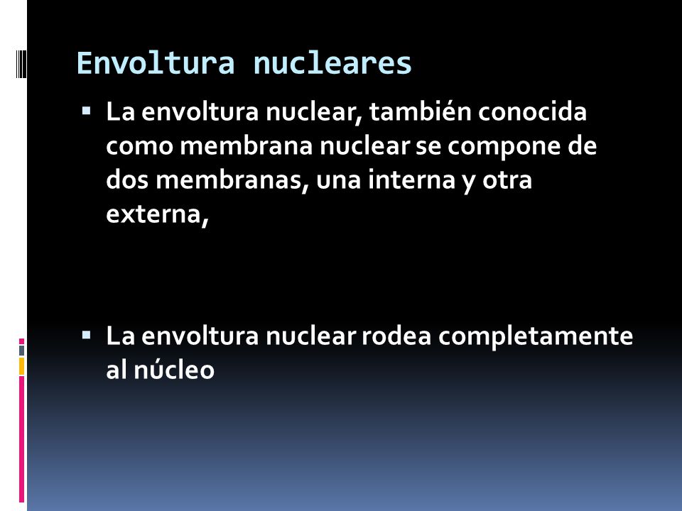 Envoltura nucleares La envoltura nuclear, también conocida como membrana nuclear se compone de dos membranas, una interna y otra externa,