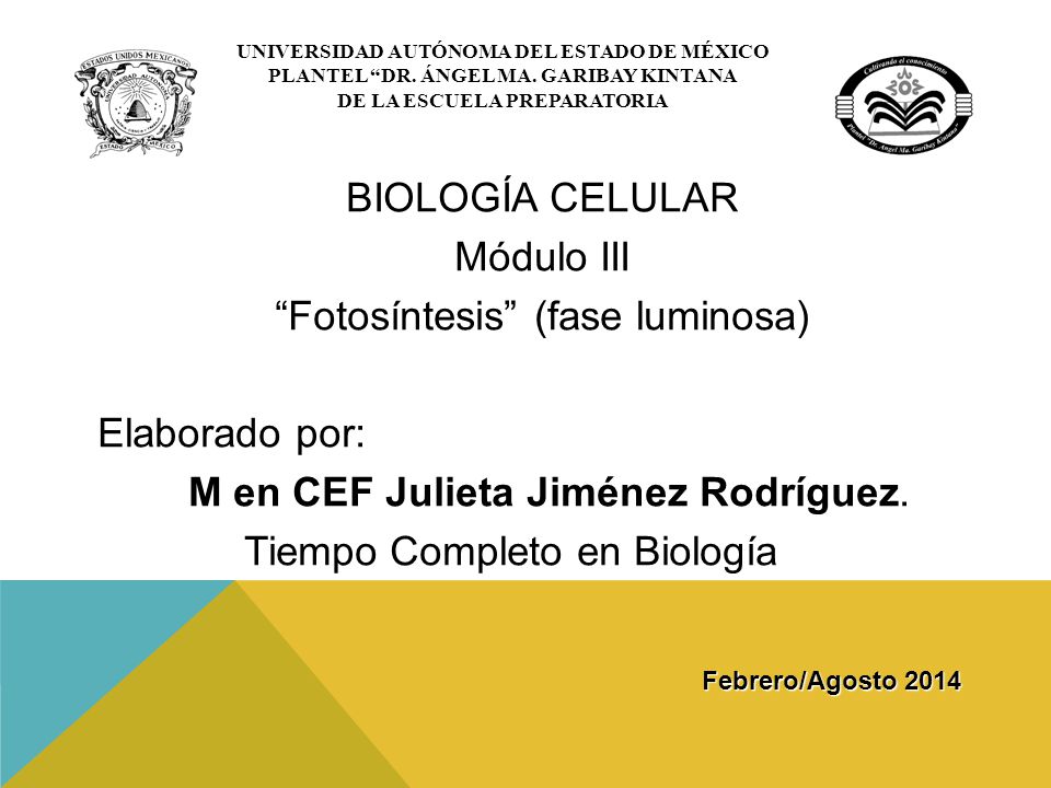 PLANTEL DR. ÁNGEL MA. GARIBAY KINTANA DE LA ESCUELA PREPARATORIA