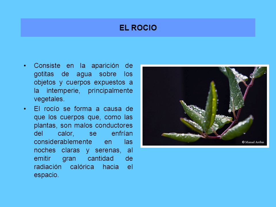 EL ROCIO Consiste en la aparición de gotitas de agua sobre los objetos y cuerpos expuestos a la intemperie, principalmente vegetales.