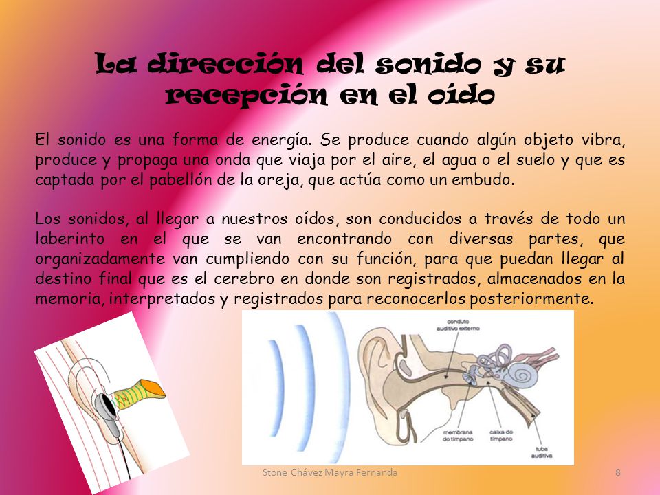 La dirección del sonido y su recepción en el oído